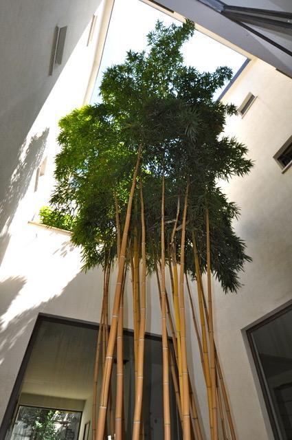 La Dimora Residence Milan Exterior photo